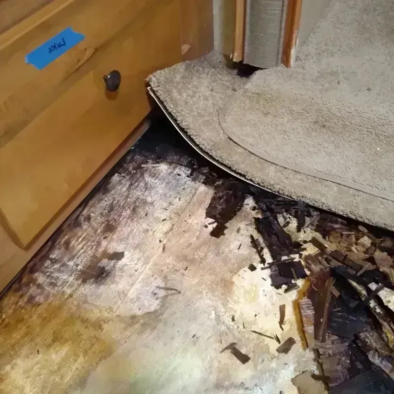 Wood Floor Water Damage in Malvern, AL